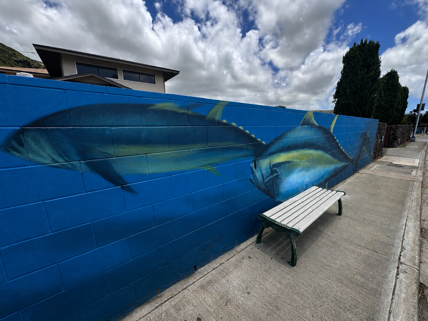 Blue fish mural with bench by Noa Hardisty