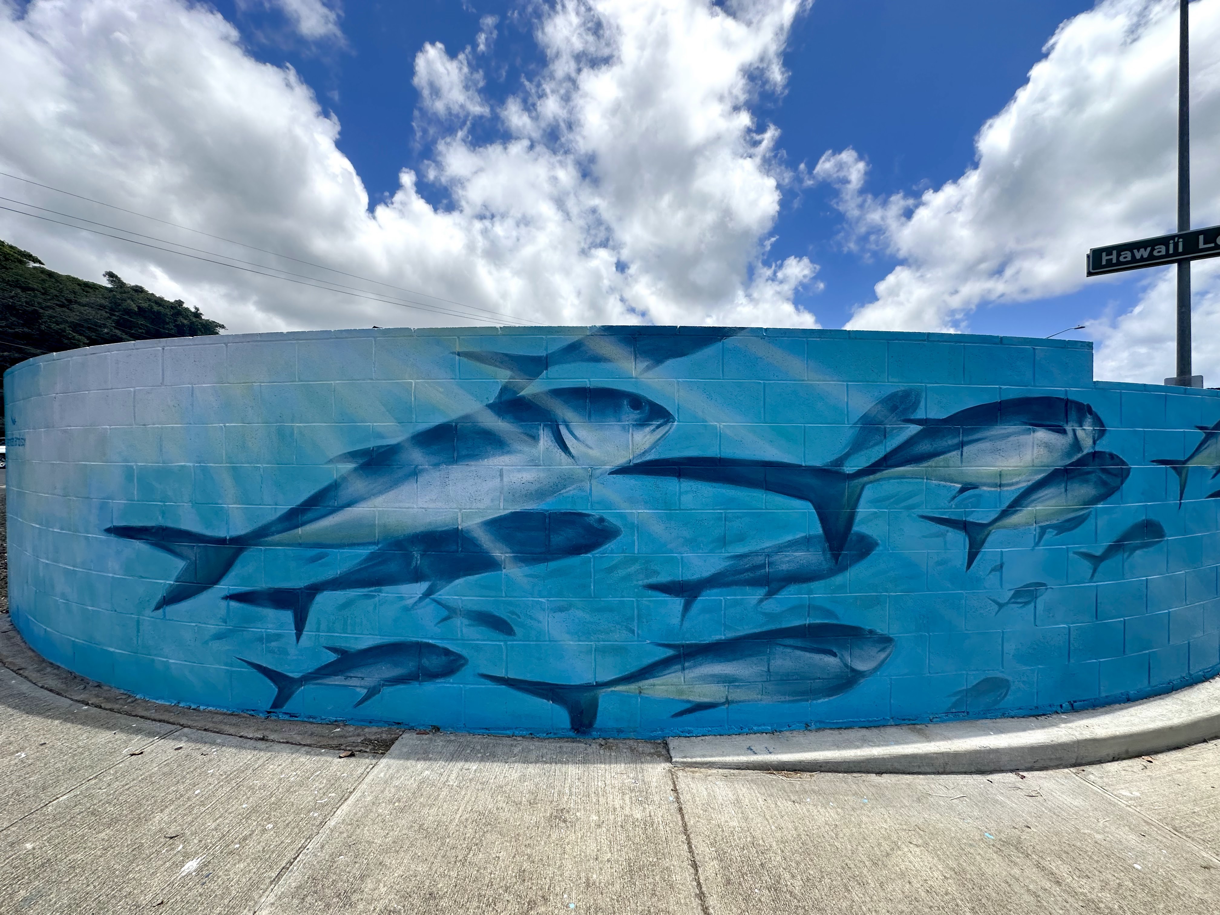 Mural by Noa Hardisty