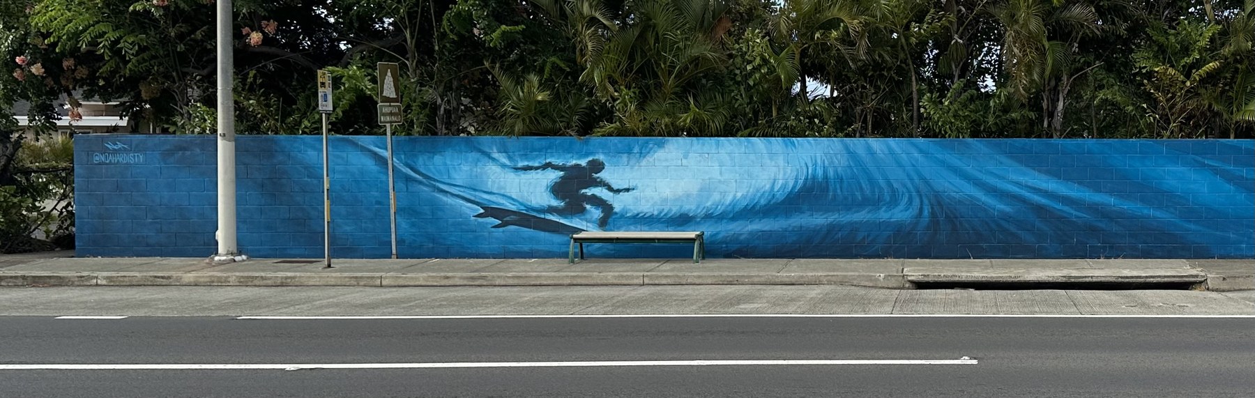 Wide mural by Noa Hardisty