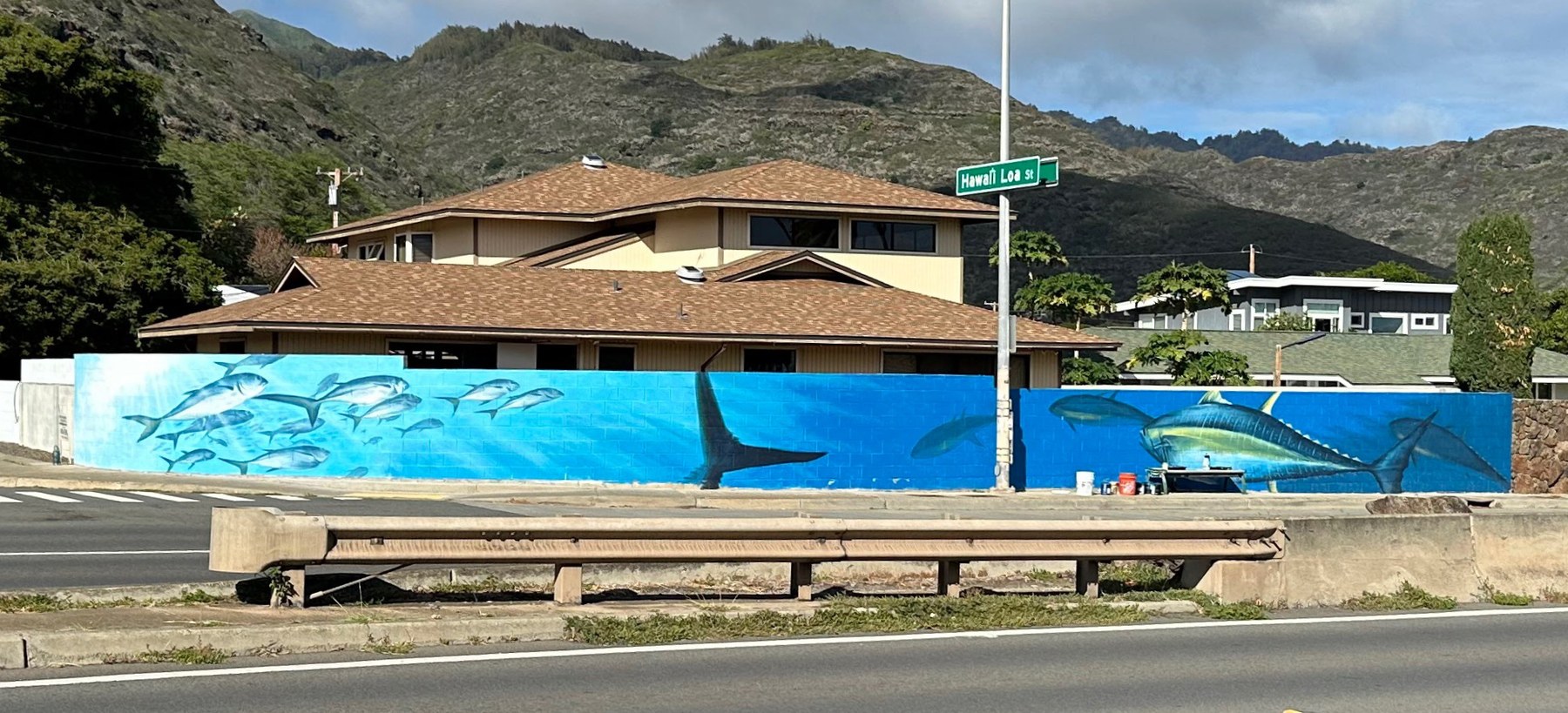 Mural by Noa Hardisty