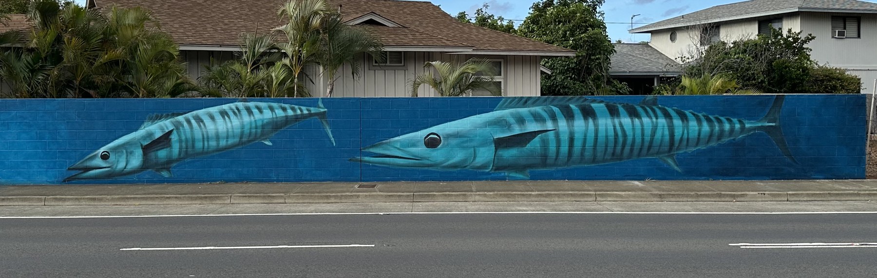 Mural detail by Noa Hardisty